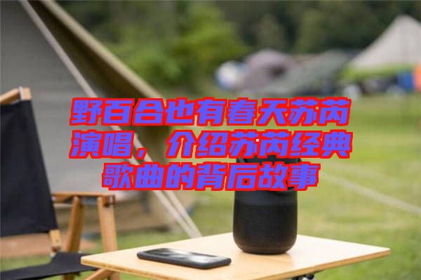 野百合也有春天蘇芮演唱，介紹蘇芮經(jīng)典歌曲的背后故事