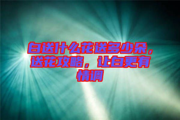 白送什么花送多少朵，送花攻略，讓白更有情調(diào)