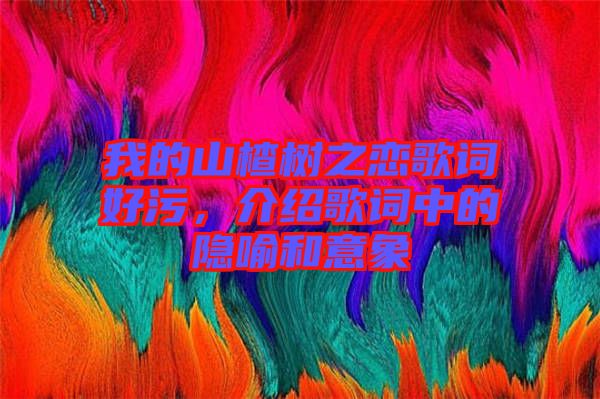 我的山楂樹之戀歌詞好污，介紹歌詞中的隱喻和意象