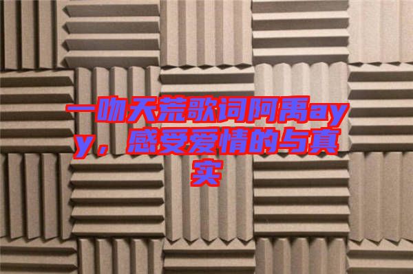 一吻天荒歌詞阿禹ayy，感受愛(ài)情的與真實(shí)
