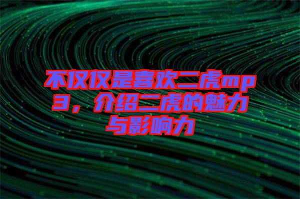 不僅僅是喜歡二虎mp3，介紹二虎的魅力與影響力