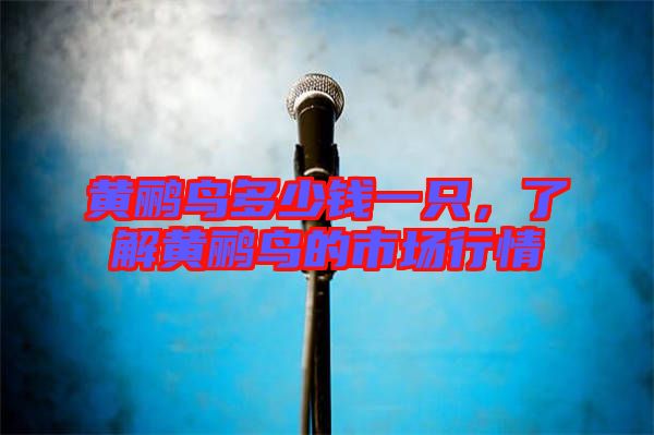 黃鸝鳥(niǎo)多少錢(qián)一只，了解黃鸝鳥(niǎo)的市場(chǎng)行情