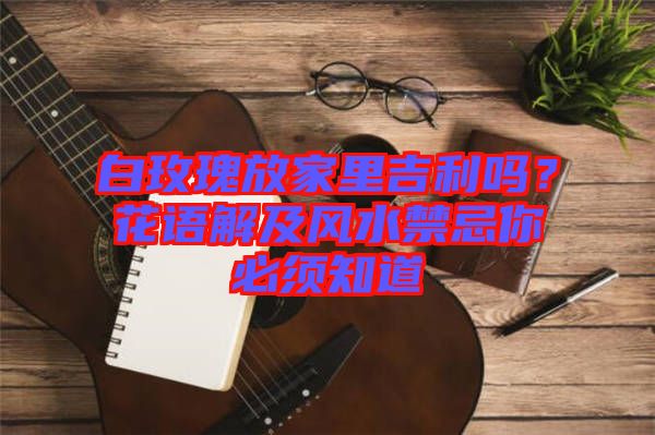 白玫瑰放家里吉利嗎？花語解及風水禁忌你必須知道