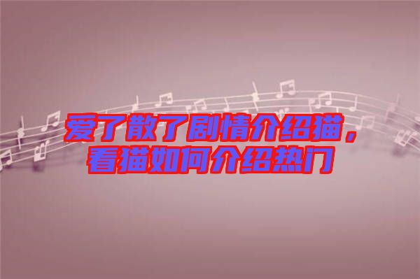 愛了散了劇情介紹貓，看貓如何介紹熱門