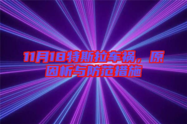 11月18特斯拉車(chē)禍，原因析與防范措施