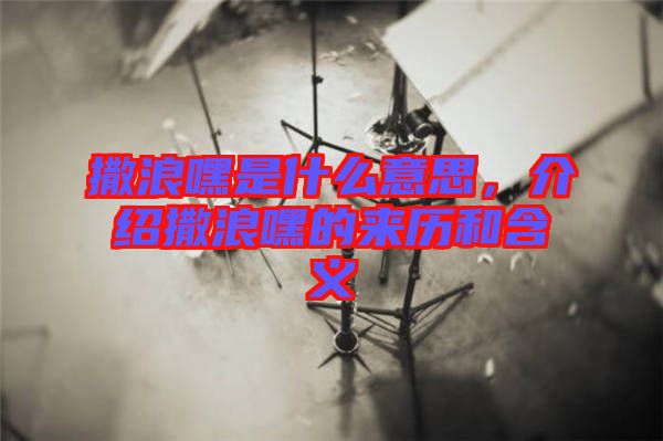 撒浪嘿是什么意思，介紹撒浪嘿的來(lái)歷和含義