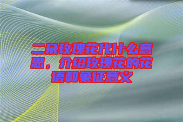 二朵玫瑰花代什么意思，介紹玫瑰花的花語(yǔ)和象征意義