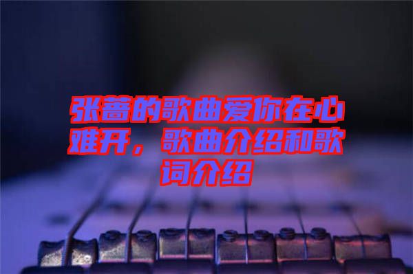 張薔的歌曲愛你在心難開，歌曲介紹和歌詞介紹