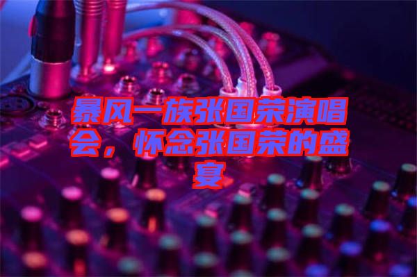 暴風(fēng)一族張國榮演唱會(huì)，懷念張國榮的盛宴