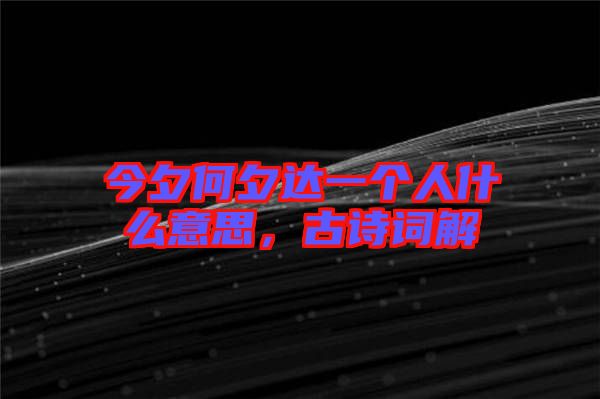 今夕何夕達一個人什么意思，古詩詞解