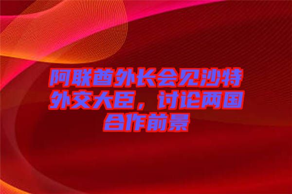 阿聯(lián)酋外長會見沙特外交大臣，討論兩國合作前景