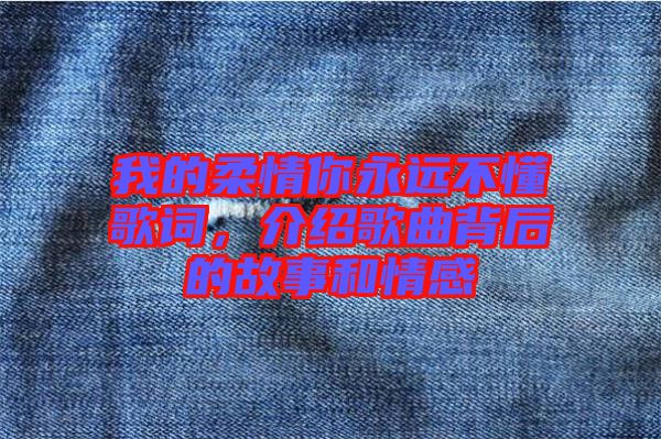 我的柔情你永遠(yuǎn)不懂歌詞，介紹歌曲背后的故事和情感