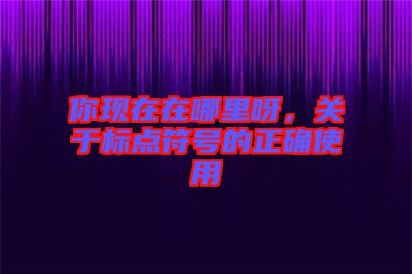 你現(xiàn)在在哪里呀，關(guān)于標(biāo)點(diǎn)符號的正確使用