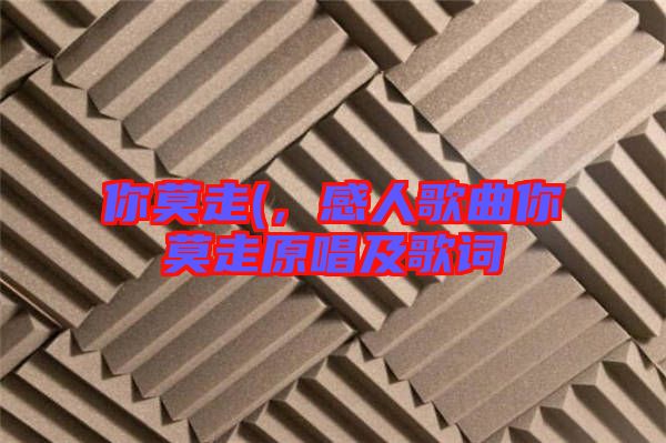 你莫走(，感人歌曲你莫走原唱及歌詞
