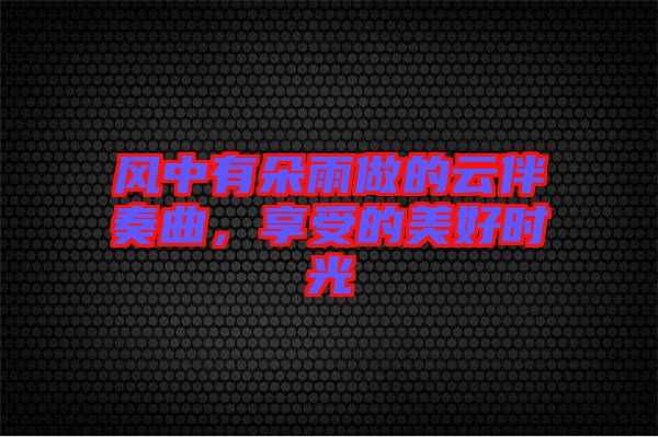 風(fēng)中有朵雨做的云伴奏曲，享受的美好時(shí)光