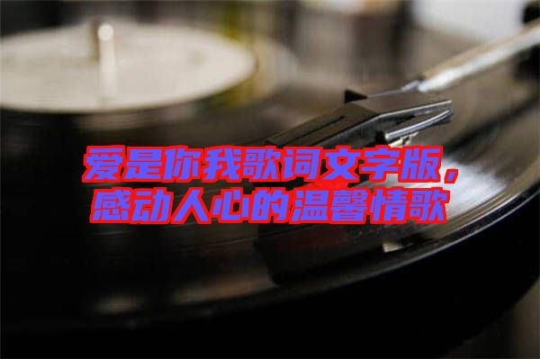 愛是你我歌詞文字版，感動人心的溫馨情歌