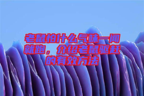 老鼠怕什么氣味一聞就跑，介紹老鼠驅(qū)趕的有效方法
