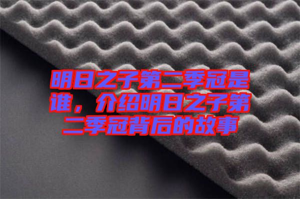 明日之子第二季冠是誰，介紹明日之子第二季冠背后的故事