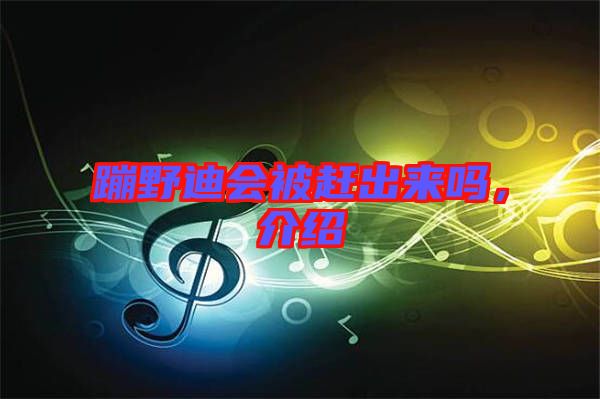 蹦野迪會(huì)被趕出來(lái)嗎，介紹