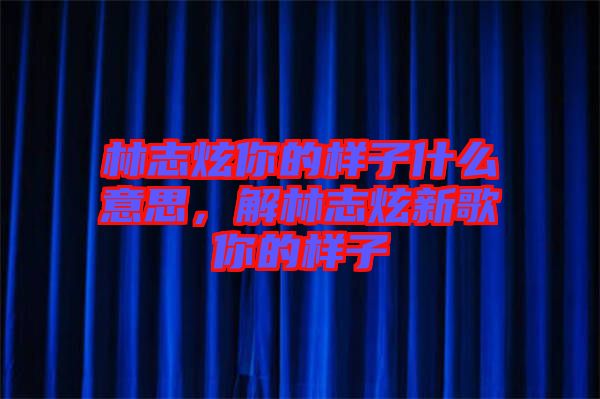 林志炫你的樣子什么意思，解林志炫新歌你的樣子
