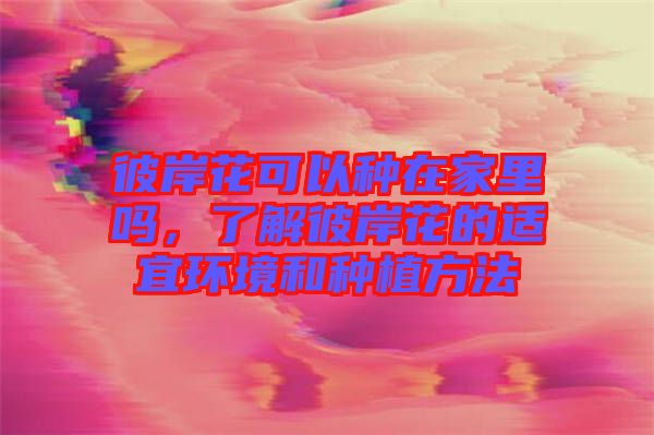 彼岸花可以種在家里嗎，了解彼岸花的適宜環(huán)境和種植方法