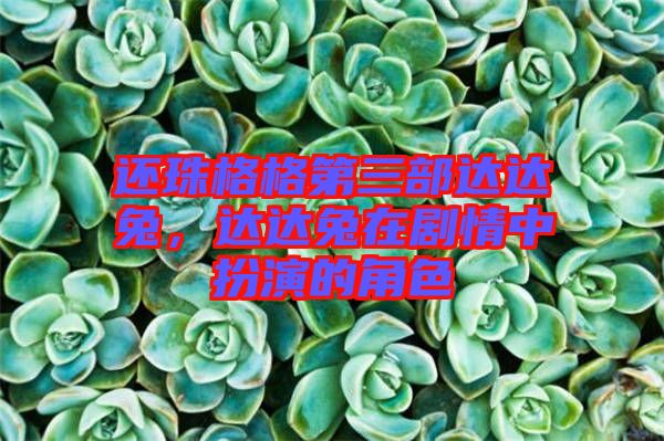 還珠格格第三部達(dá)達(dá)兔，達(dá)達(dá)兔在劇情中扮演的角色