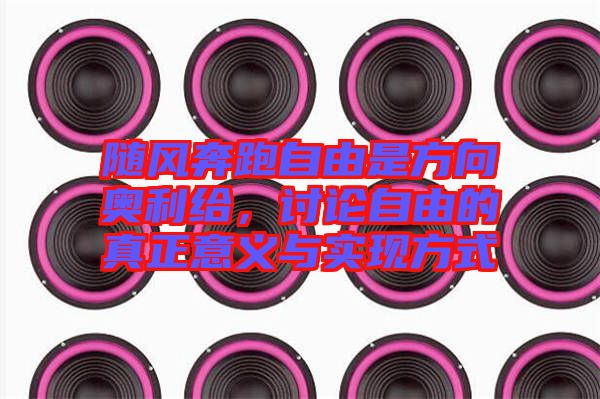 隨風(fēng)奔跑自由是方向奧利給，討論自由的真正意義與實現(xiàn)方式
