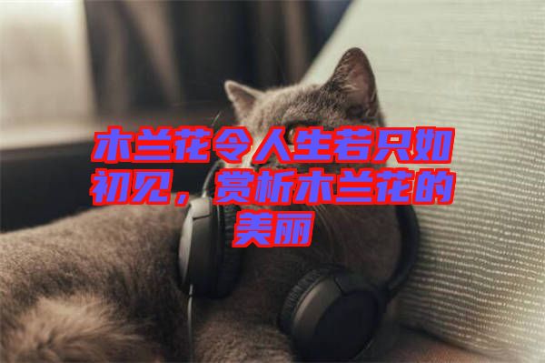 木蘭花令人生若只如初見，賞析木蘭花的美麗