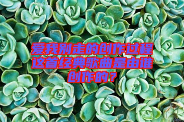 愛(ài)我別走的創(chuàng)作過(guò)程這首經(jīng)典歌曲是由誰(shuí)創(chuàng)作的？