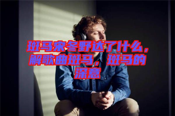 斑馬宋冬野達(dá)了什么，解歌曲斑馬，斑馬的深意