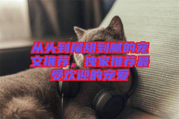 從頭到尾甜到膩的寵文推薦，獨家推薦最受歡迎的寵愛