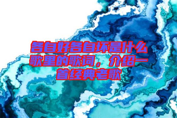 各自好各自壞是什么歌里的歌詞，介紹一首經(jīng)典老歌