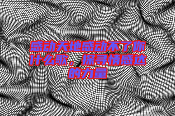 感動天地感動不了你什么歌，探尋情感達的力量