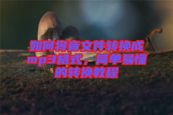 如何將音文件轉(zhuǎn)換成mp3格式，簡單易懂的轉(zhuǎn)換教程