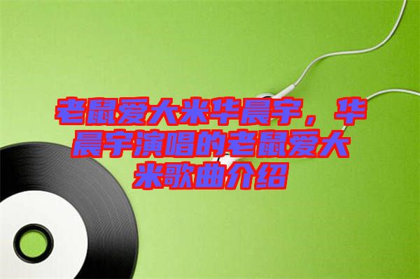 老鼠愛大米華晨宇，華晨宇演唱的老鼠愛大米歌曲介紹