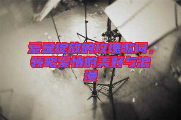 愛是綻放的玫瑰歌詞，領(lǐng)略愛情的美好與浪漫