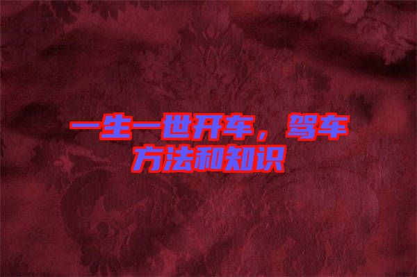 一生一世開車，駕車方法和知識