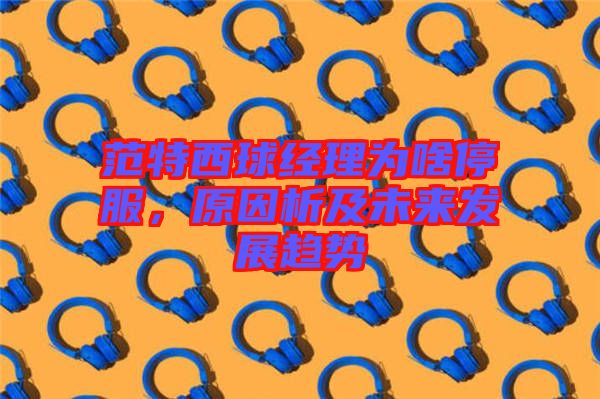 范特西球經(jīng)理為啥停服，原因析及未來(lái)發(fā)展趨勢(shì)