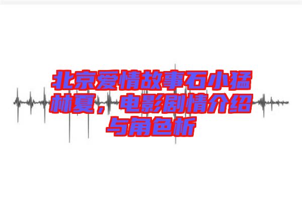 北京愛情故事石小猛林夏，電影劇情介紹與角色析