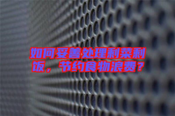 如何妥善處理剩菜剩飯，節(jié)約食物浪費(fèi)？