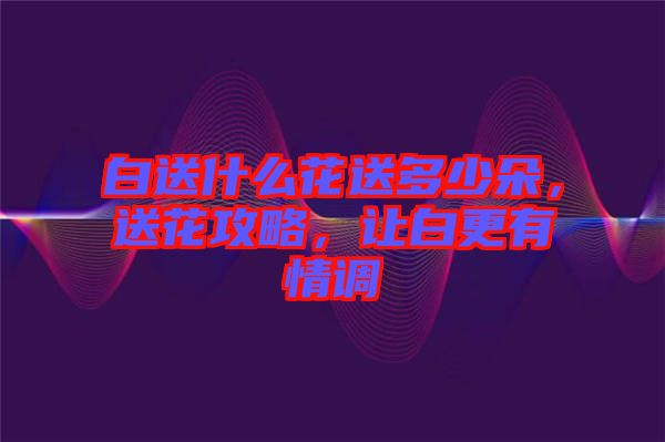 白送什么花送多少朵，送花攻略，讓白更有情調(diào)