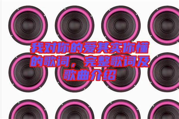 我對(duì)你的愛其實(shí)你懂的歌詞，完整歌詞及歌曲介紹