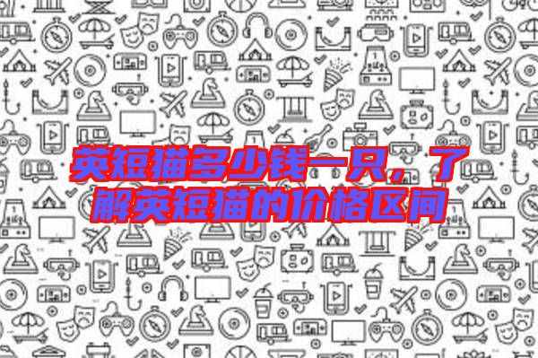 英短貓多少錢一只，了解英短貓的價格區(qū)間