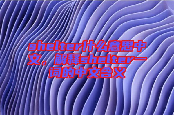 shelter什么意思中文，解釋shelter一詞的中文含義