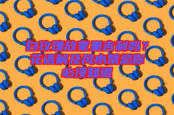 白玫瑰放家里吉利嗎？花語解及風(fēng)水禁忌你必須知道