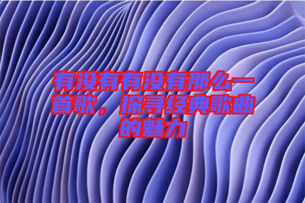 有沒有有沒有那么一首歌，探尋經(jīng)典歌曲的魅力