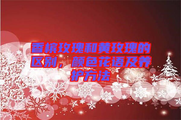 香檳玫瑰和黃玫瑰的區(qū)別，顏色花語及養(yǎng)護方法