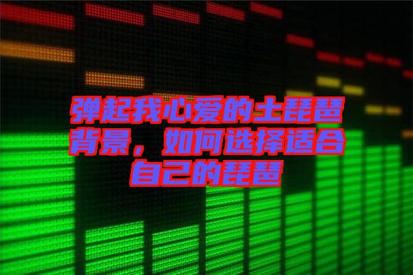 彈起我心愛(ài)的土琵琶背景，如何選擇適合自己的琵琶