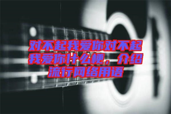 對(duì)不起我愛(ài)你對(duì)不起我愛(ài)你什么梗，介紹流行網(wǎng)絡(luò)用語(yǔ)