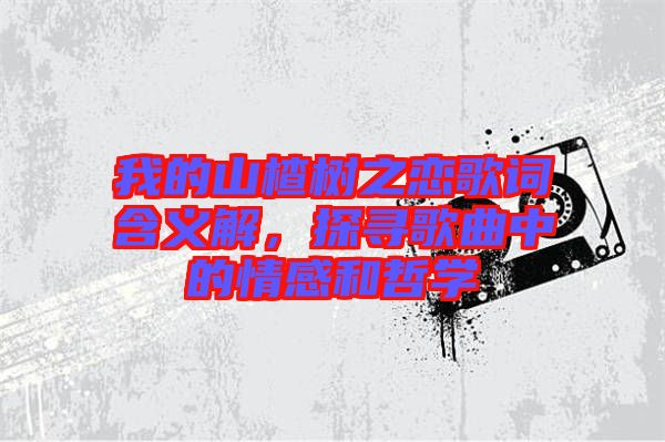 我的山楂樹(shù)之戀歌詞含義解，探尋歌曲中的情感和哲學(xué)